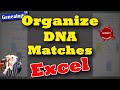 Organize DNA Cousin Matches with Excel 📊