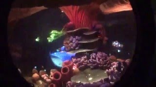 ファインディング ニモ サブマリン ヴォヤッジ その2 dlアナハイム Youtube ファインディング ニモ サブマリン ヴォヤッジ その2 dlアナハイム Youtube