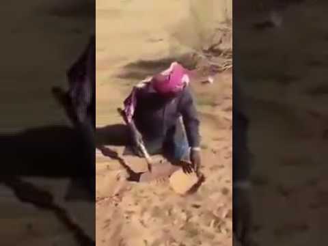 مسن في القصيم بادر وذهب الى المناطق الصحراوية ليبذر شجرة الغضا