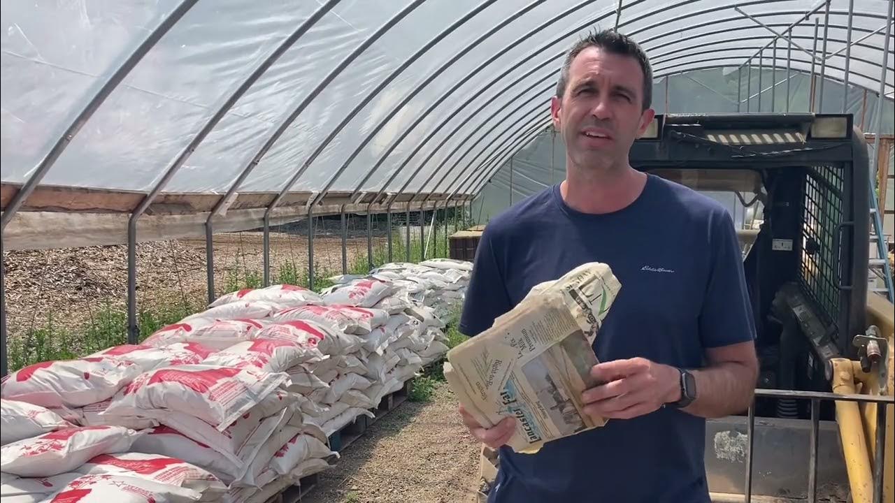 Can I Compost It? Newspapers YouTube