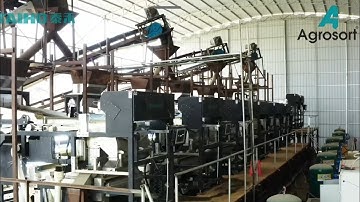 AGROSORT STONE COLOR SORTER | TAIHO COLOR SORTER | QUARTZ SORTER 