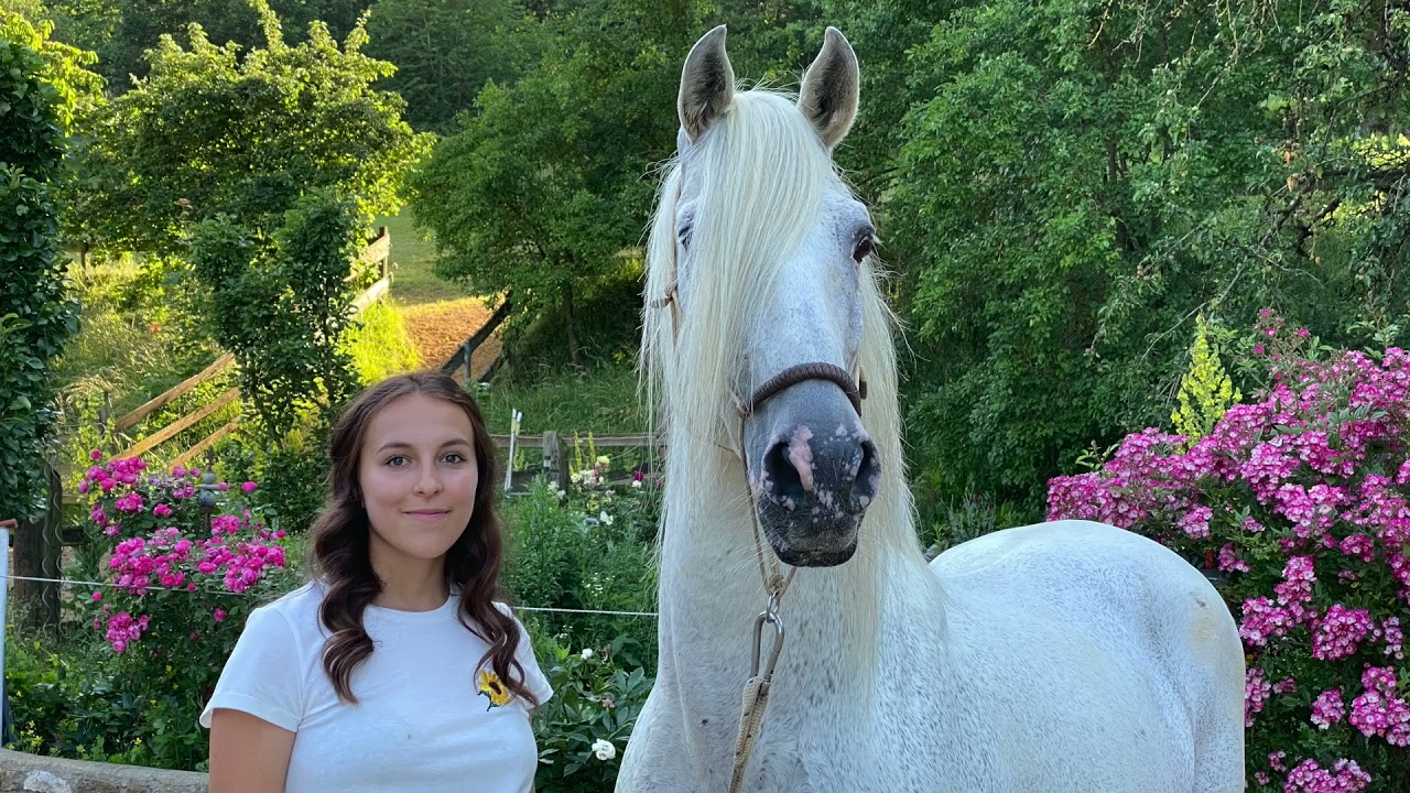 Spätsommer am Gestüt - 2021 - Privatgestüt Möningerberg