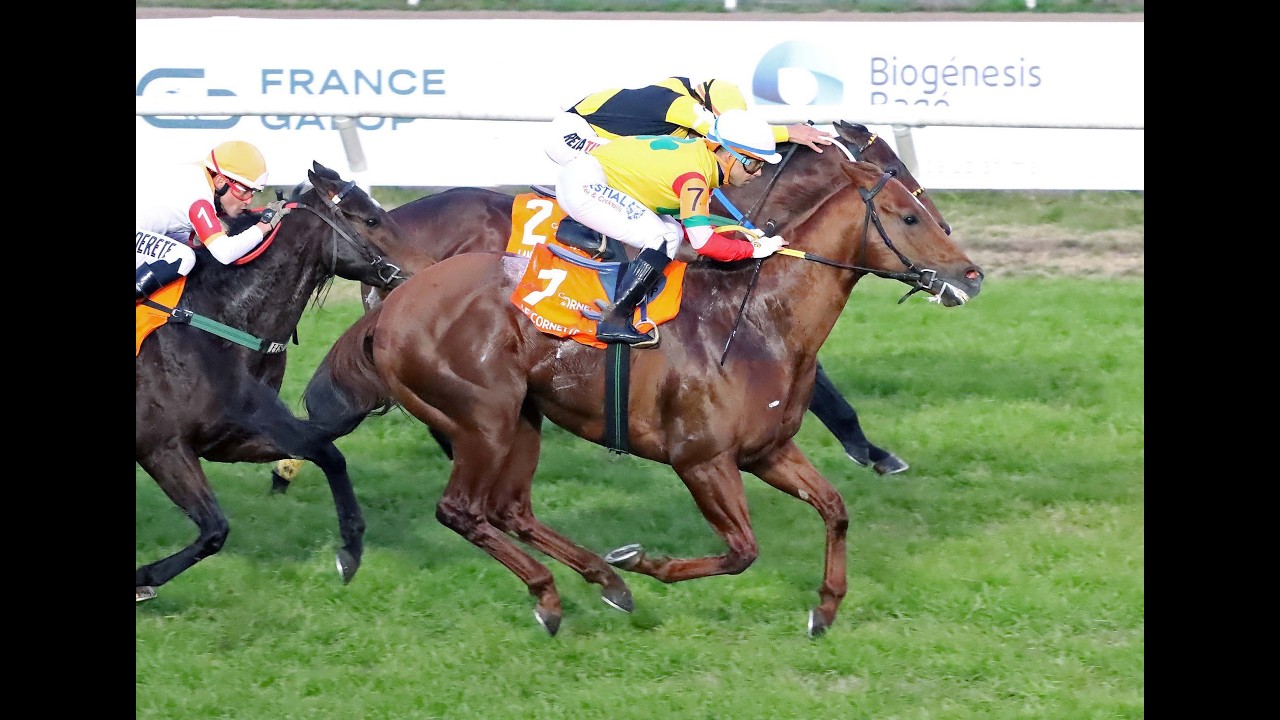 Gran Premio Estrellas Sprint (G1) 2026 - Le Cornette (Emmanuel)