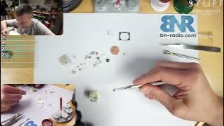 Sanaa Tania Moriah Andrea Aylin Mary Alena Lillie