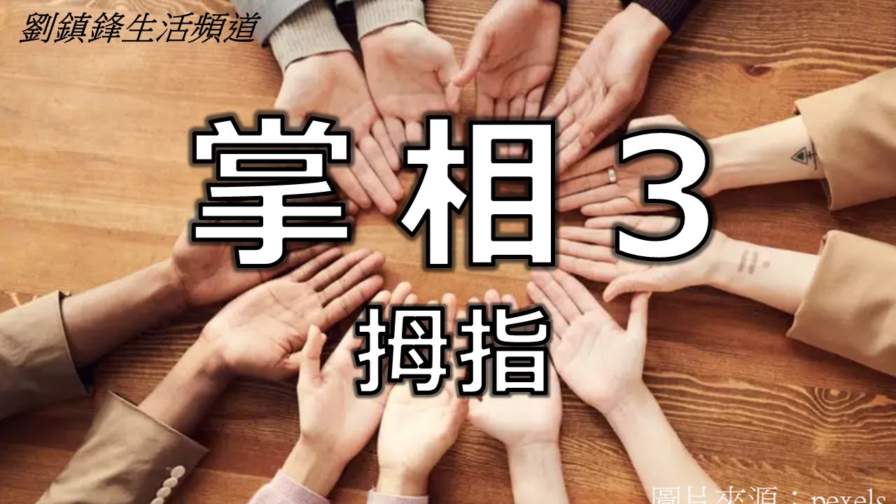 掌相3 拇指 手指公 (開啟字幕) |金星指 木星指 土星指 太陽指 水星指 | 劉鎮鋒生活頻道 - YouTube