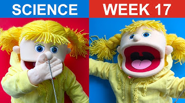 CC Cycle 3 Week 17 Science - How to Teach Classical Conversations At Home