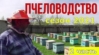 Начало сезона 2021  / в гостях у А П Шаповалова / Пчеловодство. часть 2.