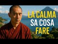 La pratica silenziosa che guarisce ciò che la mente non comprende