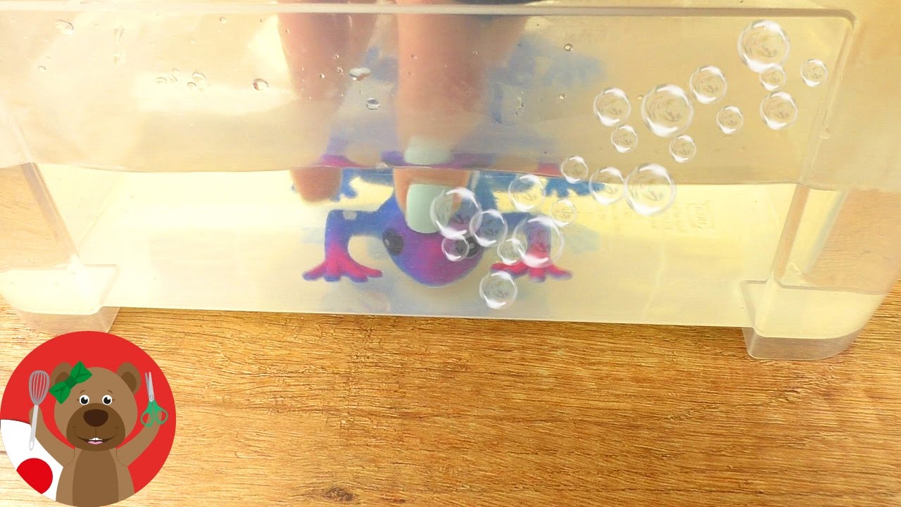 A toy frog that grows huge if left in water for a few days - YouTube