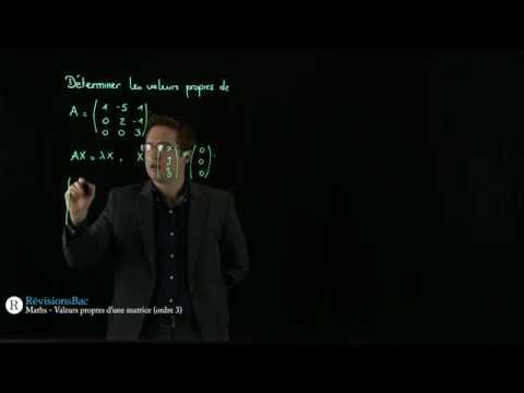 Vidéo: Une matrice réelle peut-elle avoir des valeurs propres complexes ?