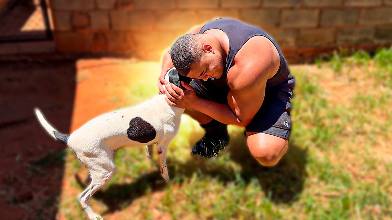 BITELO ADOTOU UM CACHORRO PARA O SEU SÍTIO