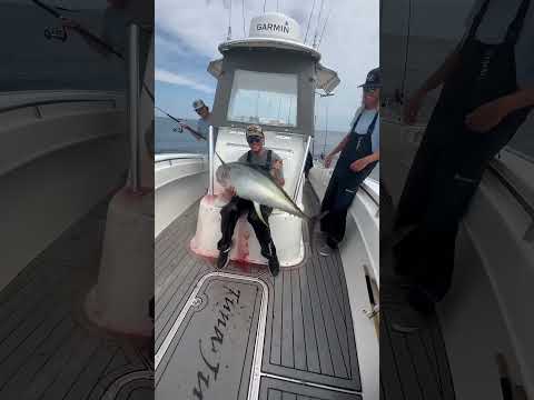 لماذا سمك التونة رخيص الثمن