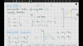 Celebrity Understanding Unit Vectors: Notation & 2D/3D Representation Wealth