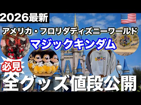WDW] Disney World: Boardwalk Souvenirs 2019 Edition - YouTube