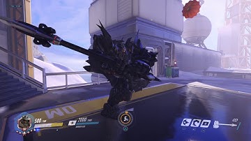 Rein emote bug