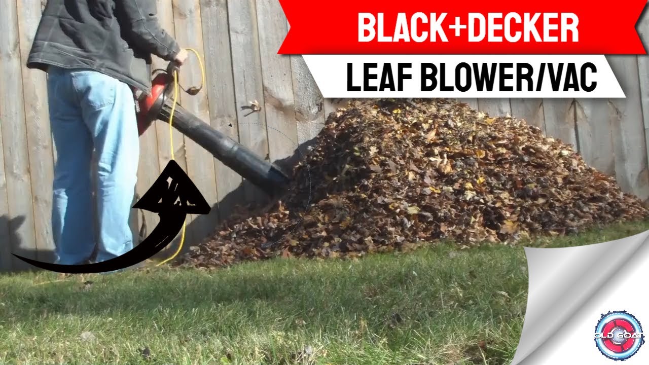 My Black + Decker Leaf Vacuum Trial 