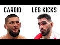 How To Beat Every Undefeated UFC Fighter