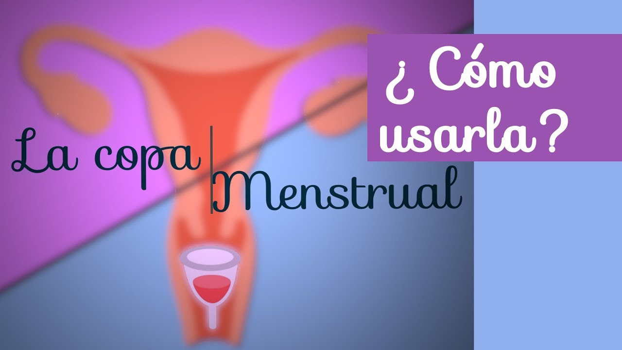 Tener Sexo con la copa menstrual puesta: ¿Se puede?