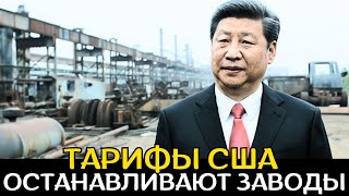 видео: Китай признаёт экономическое падение после 157% пошлин США, обрушивших промышленность! картинка: Китай признаёт экономическое падение после 157% пошлин США, обрушивших промышленность!