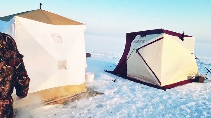 Yalangoch draenei Lolilar ortasidagi jinsiy aloqa