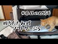 本日のぬこ56 【折りたたみ式ソフトケージS】