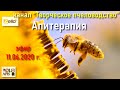 11.06.20 г. Z-рация, канал &quot;#Творческое_пчеловодство&quot;, #Апитерапия