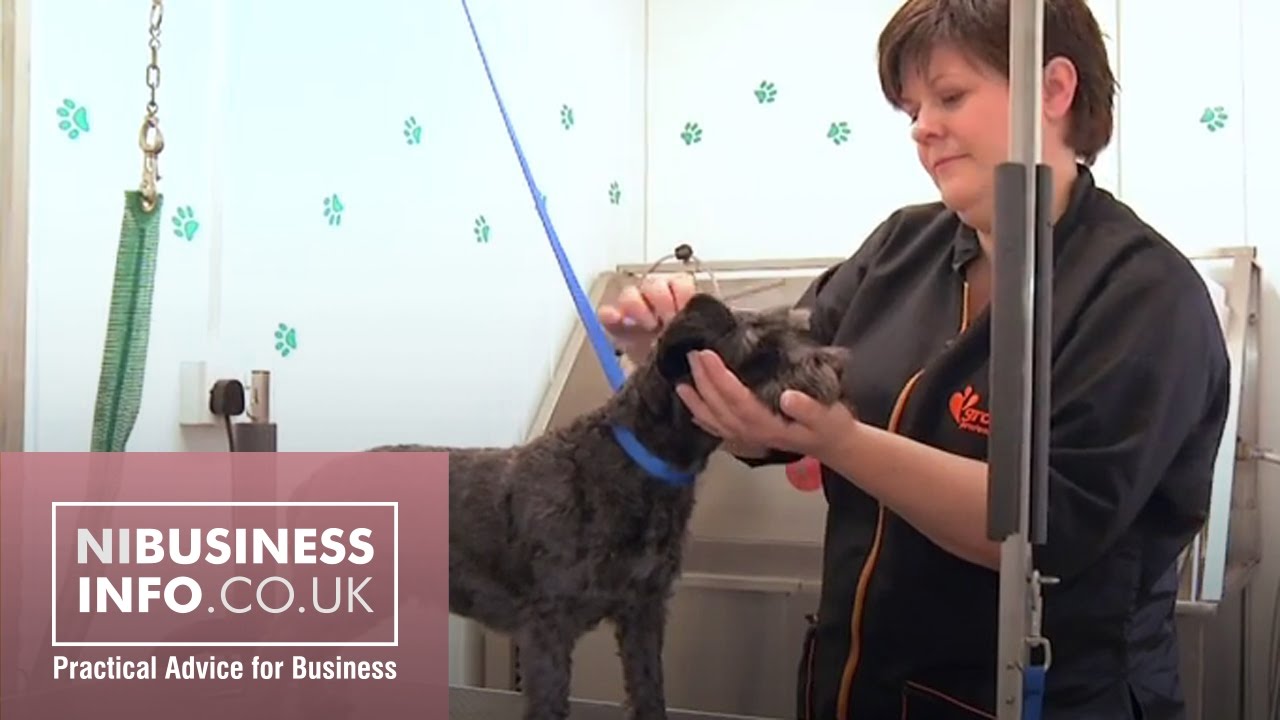 Starting A Business As An Entrepreneur With Disability Little Grooming Pet Studio Video Nibusinessinfo Co Uk Little Grooming Pet Studio Video
