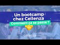Un bootcamp chez cellenza 