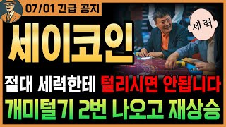 [세이 코인]🔥긴급🔥 개미털기 2번 예정되어 있습니다. 🚫절대🚫 세력한테 털리시면 안됩니다｜시청필수｜#세이코인분석 #세이대응 #세이목표가 #세이코인 #세이호재 #세이코인세력