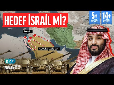 لماذا تشتري السعودية كل هذا الكم من الأسلحة