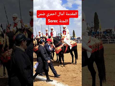 المقدمة آمال احمري ضمن لجنة التحكيم