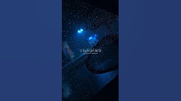عينا فيها تسمي سلسبيلا بصوت الشيخ محمد اللحيدان | سورة الإنسان