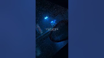 عينا فيها تسمي سلسبيلا بصوت الشيخ محمد اللحيدان | سورة الإنسان