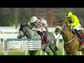 RM 37  Al Rayyan Race 5 -  Khor Al Adaid Cup