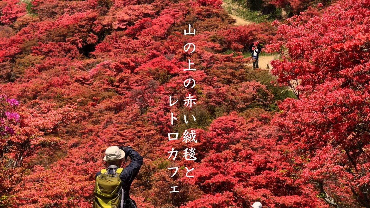 【大阪から1時間】葛城高原のツツジと奈良・御所の穴場旅|山上グルメとレトロな郵便局カフェ