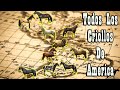 Todas Las Razas De Caballos Criollas De América 🐴-Del Cerro Soy