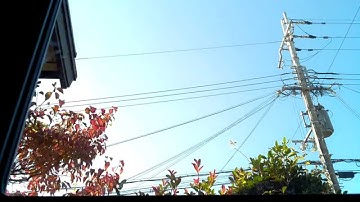 Raspberry Pi Time lapse Test 2