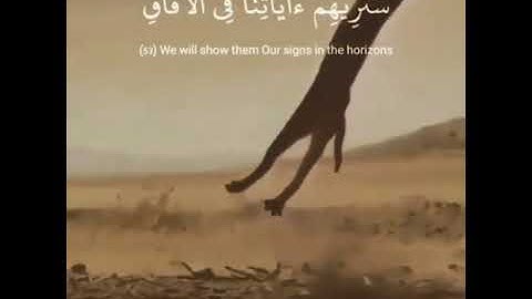 (سنريهم آياتنا في الآفاق وفي أنفسهم).... #تلاوة مميزة للقارئ المميز #ياسر_الدوسري حفظه الله