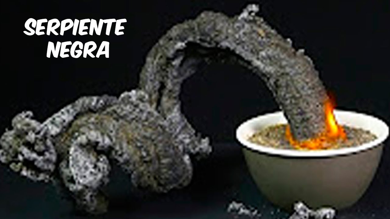 El Experimento De La Serpiente Negra