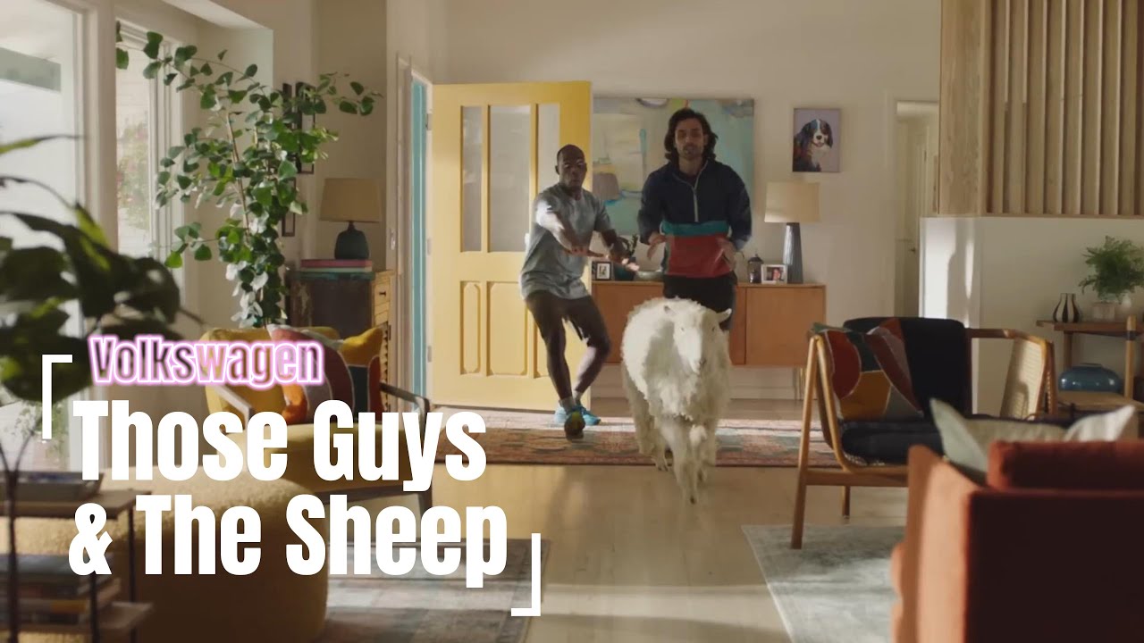 Tiguan Commercial With Sheep