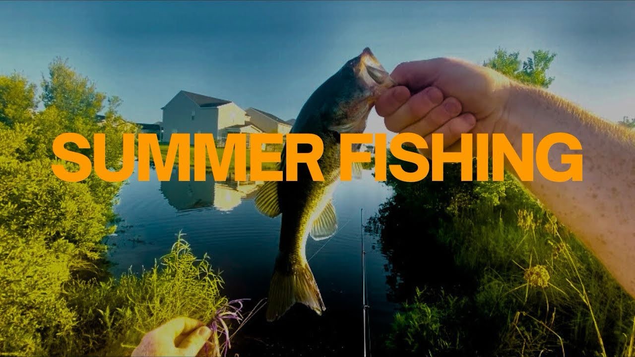 Summer Morning BASS Fishing (and a dose of REALITY)