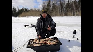 Вот Это Я Порыбачил, Попал На Раздачу Крупного Язя Весной 1 Мая.