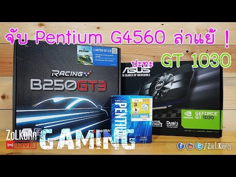 จับ Intel Pentium G4560 ควงคู่ GT 1030 ออกล่าแย้ : ZoLKoRn on Live #187