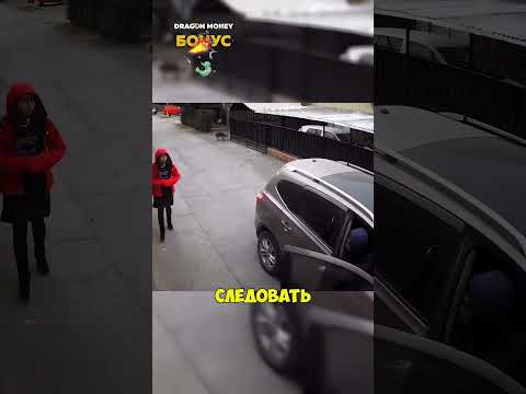 Собака ГЕРОЙ😳#ситуация #собака #пес #герой