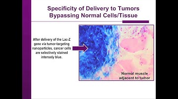 Nanodelivery System - How it Works