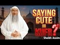 Is Saying Cute Considered Kufr? | Sheikh Assim Al-Hakeem