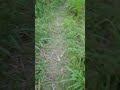 ৮০ বছরের গুনাহ মাফের আমল #islam #trendingshorts #viralvideo #heart #nature #funny #gaming