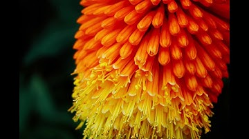 تلاوه راااائعه لما تيسر من سورة يوسف- الشيخ محمد صديق المنشاوي-Holy Quran AL Menshawi- Yousuf