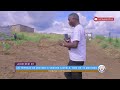 Fondation lom mwamba  un terrain de 20m20m a vendre a nsele non loin de 10 maisons