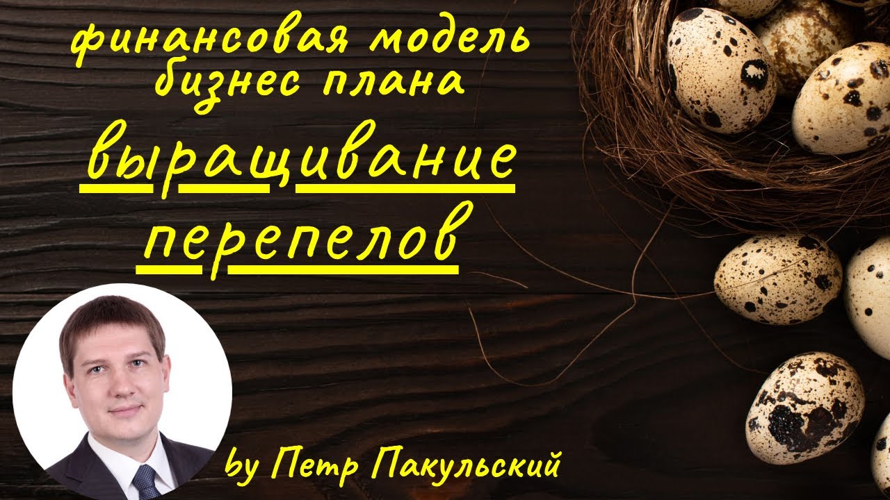 Перепелиная ферма – успешный бизнес Перепелиная ферма – успешный бизнес